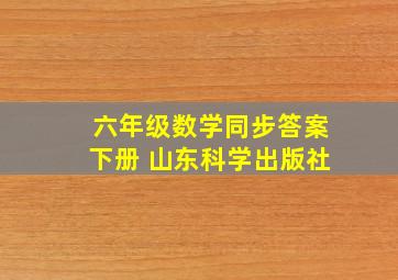 六年级数学同步答案下册 山东科学出版社